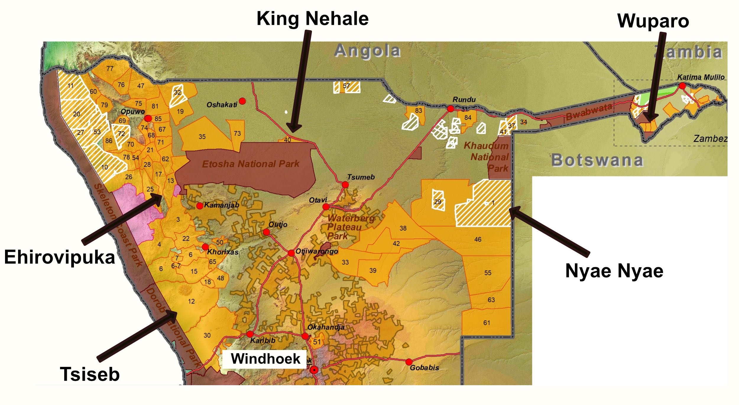 Map of northern Namibia showing the locations of the five conservancies in this study.