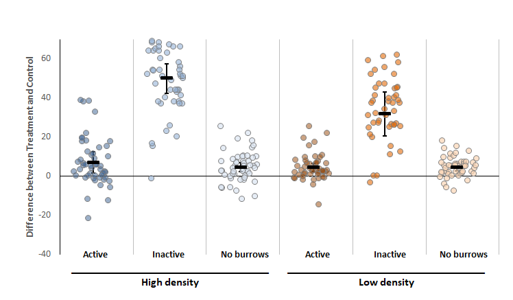 Two graphs showing differences in vegetation density with and without gerbil burrows.