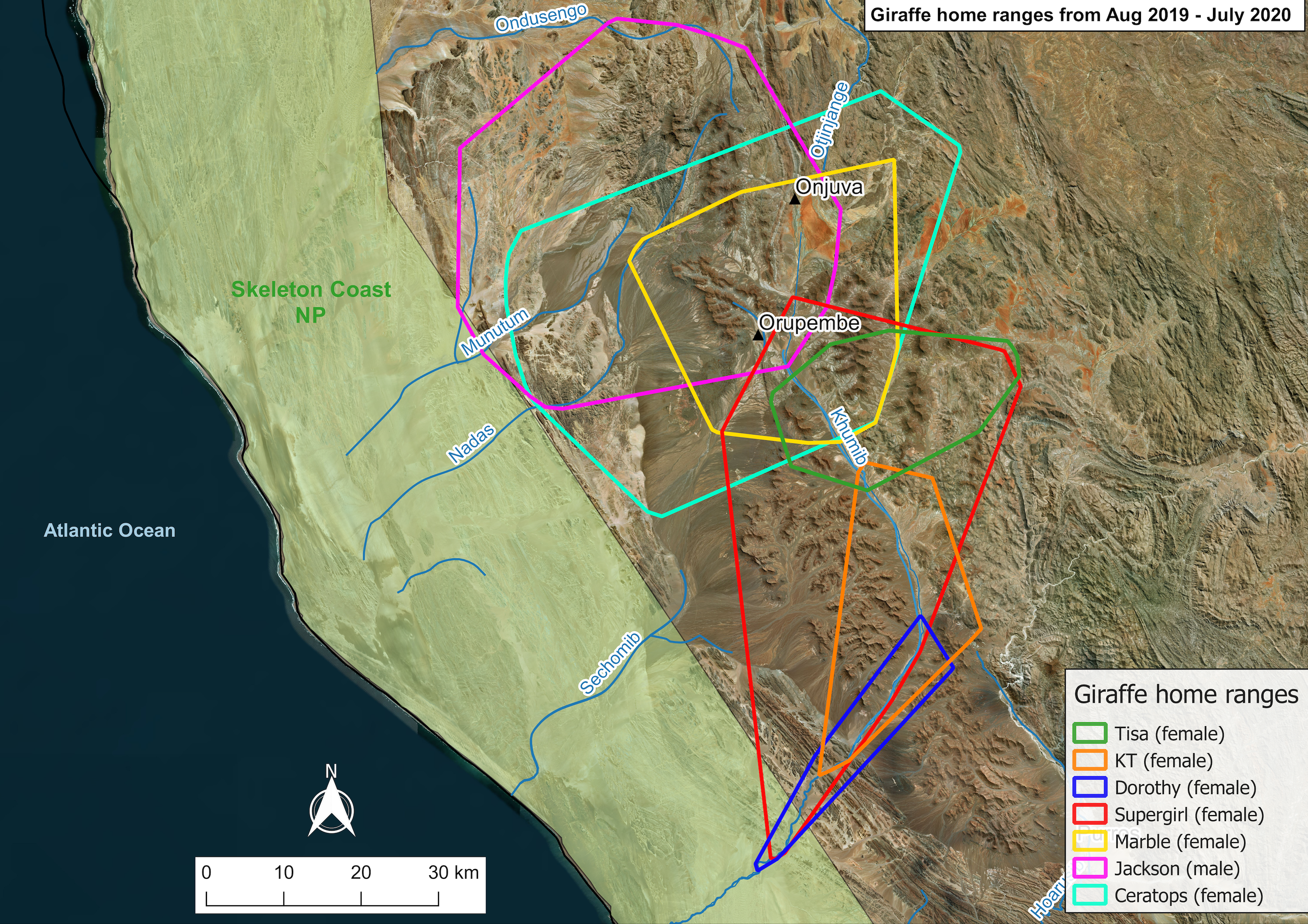 A map showing the home ranges of six female and one male giraffe in the study area.