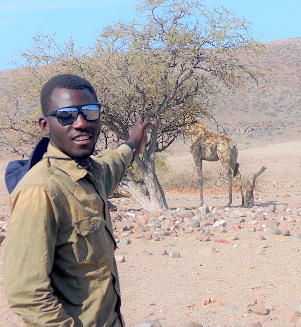 A man points to a giraffe behind a tree.
