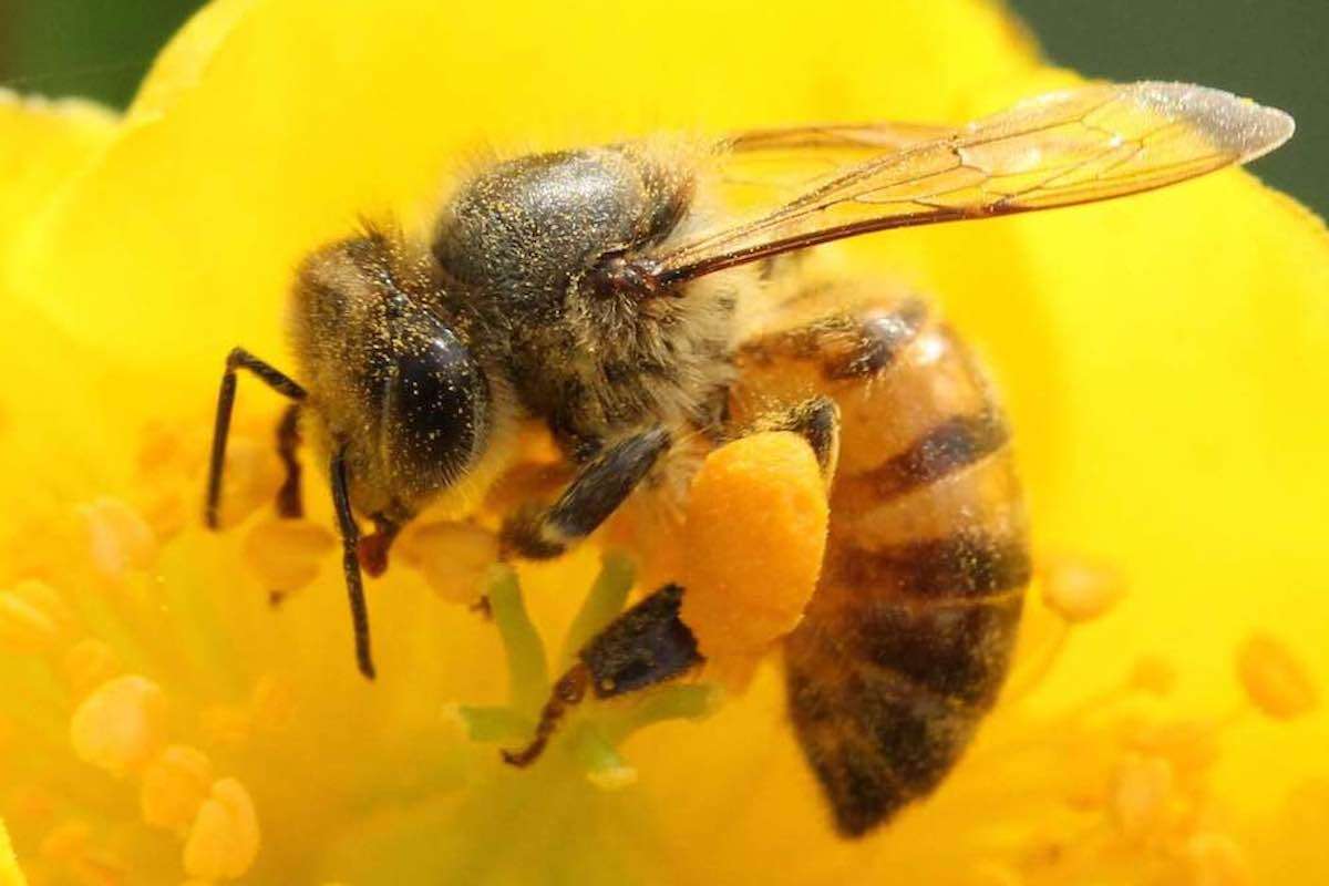A rocky mountain slope.