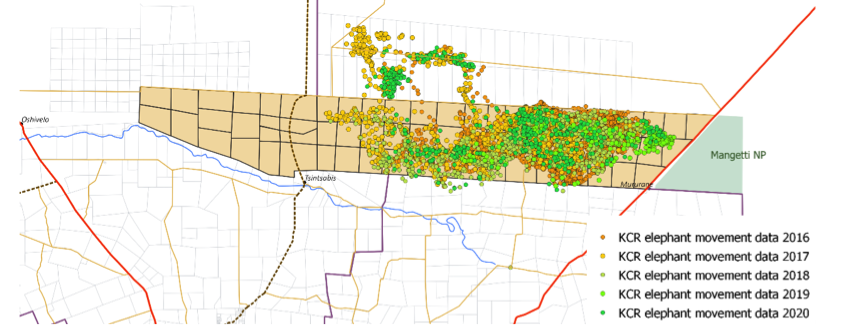 A map showing five years of elephant movement on the Kavango cattle ranch.