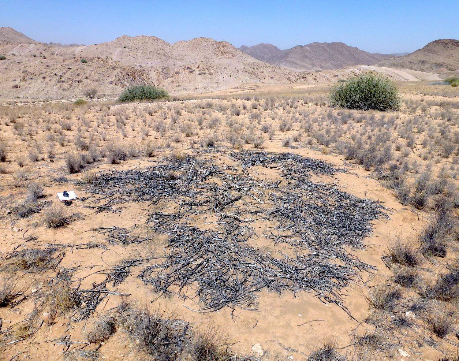 A map of northern Namibia showing the four areas of interest.