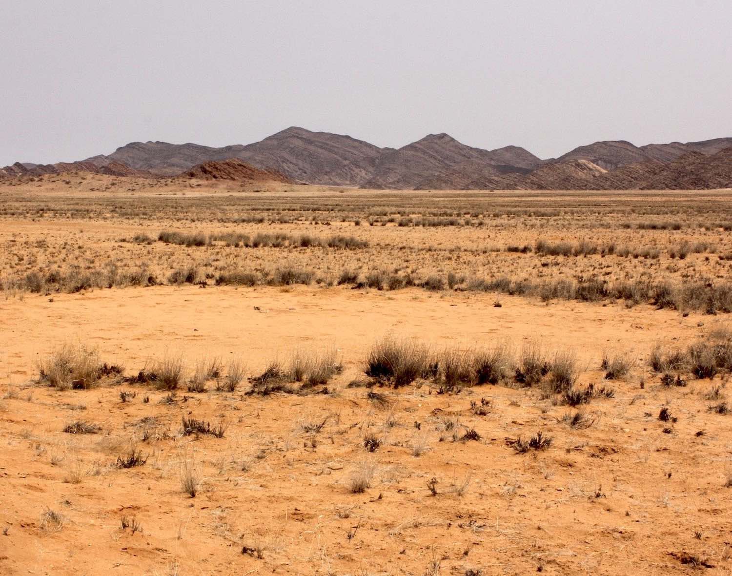 A map of northern Namibia showing the four areas of interest.