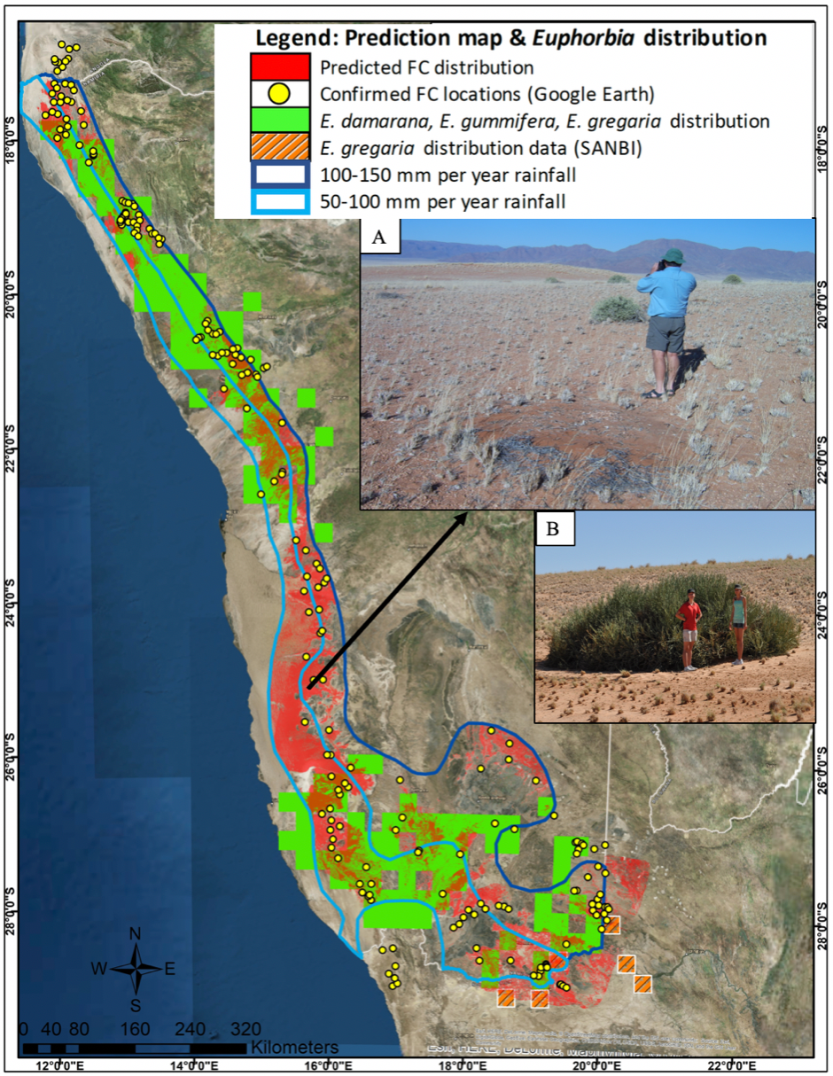 A map of western Namibia showing predicted and actual fairy circle distribution.