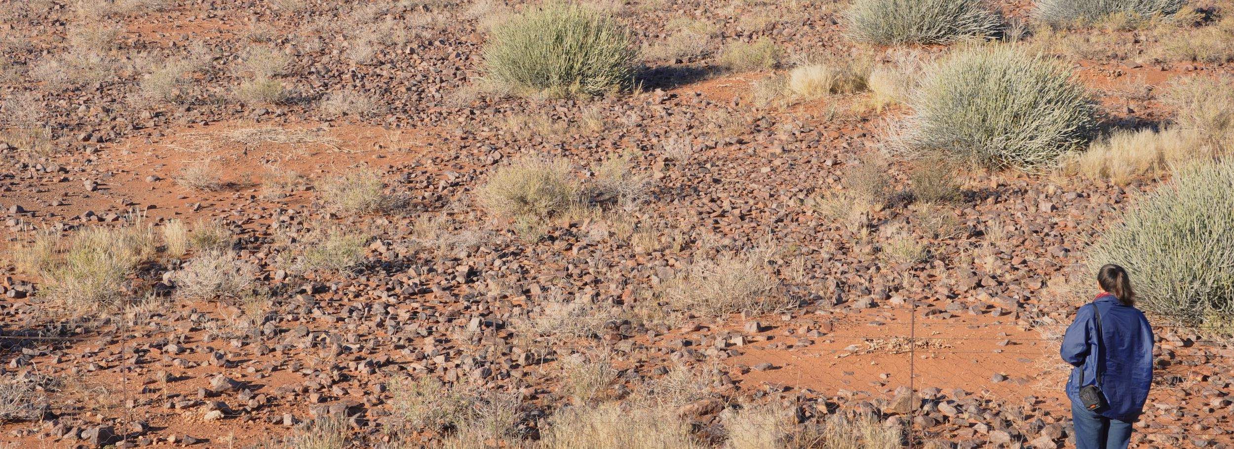 A researcher stands in the foreground looking over a rocky landscape dotted with roughly circular sandy sections.