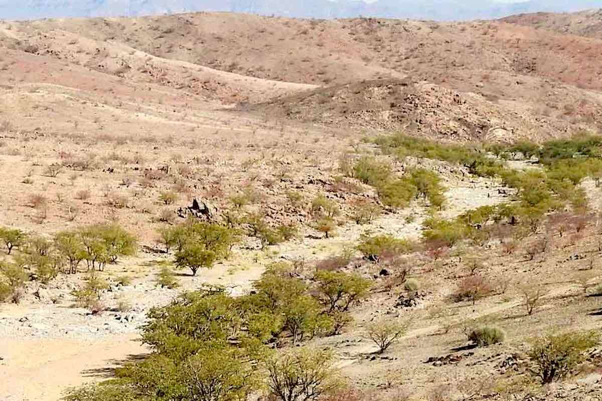 The rocky desert of north-western Namibia.