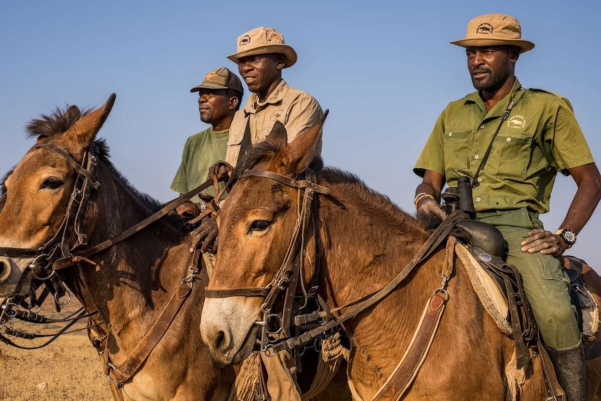 Three rhino rangers riding on mules.