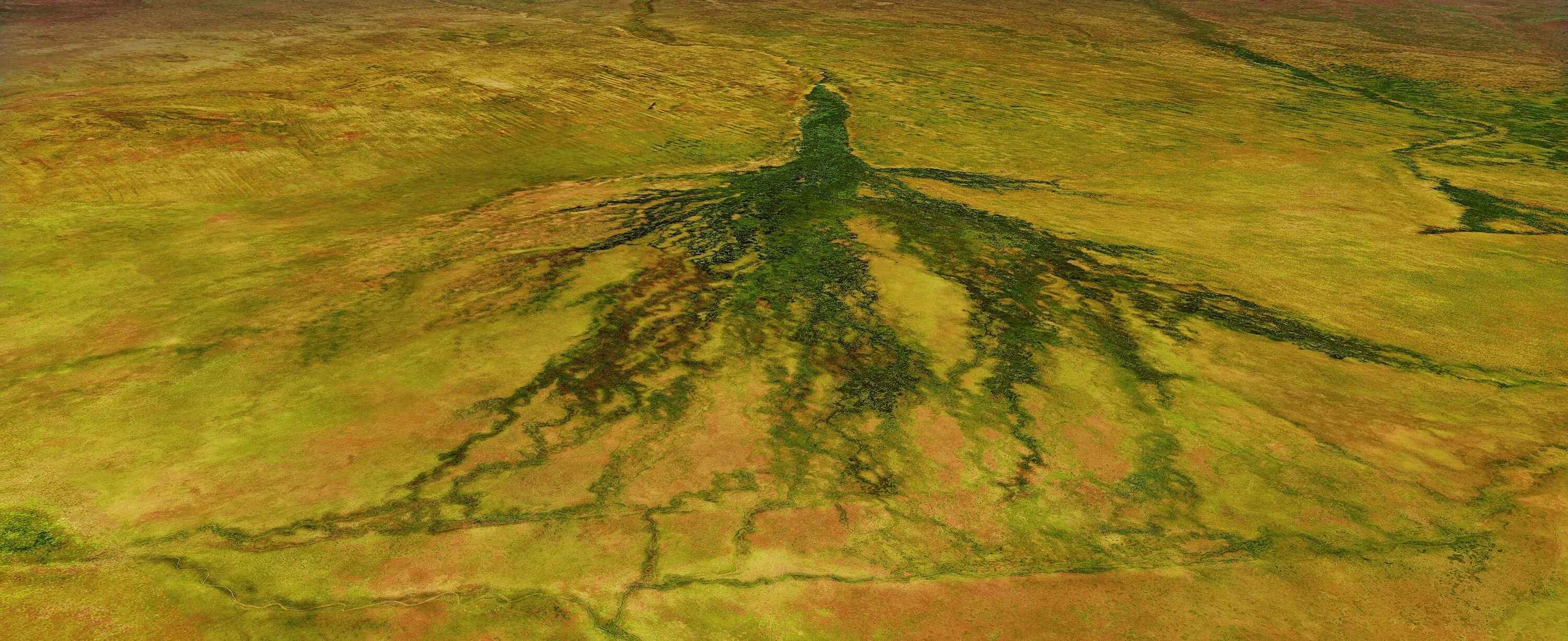 Computer generated model of the Okavango Delta.