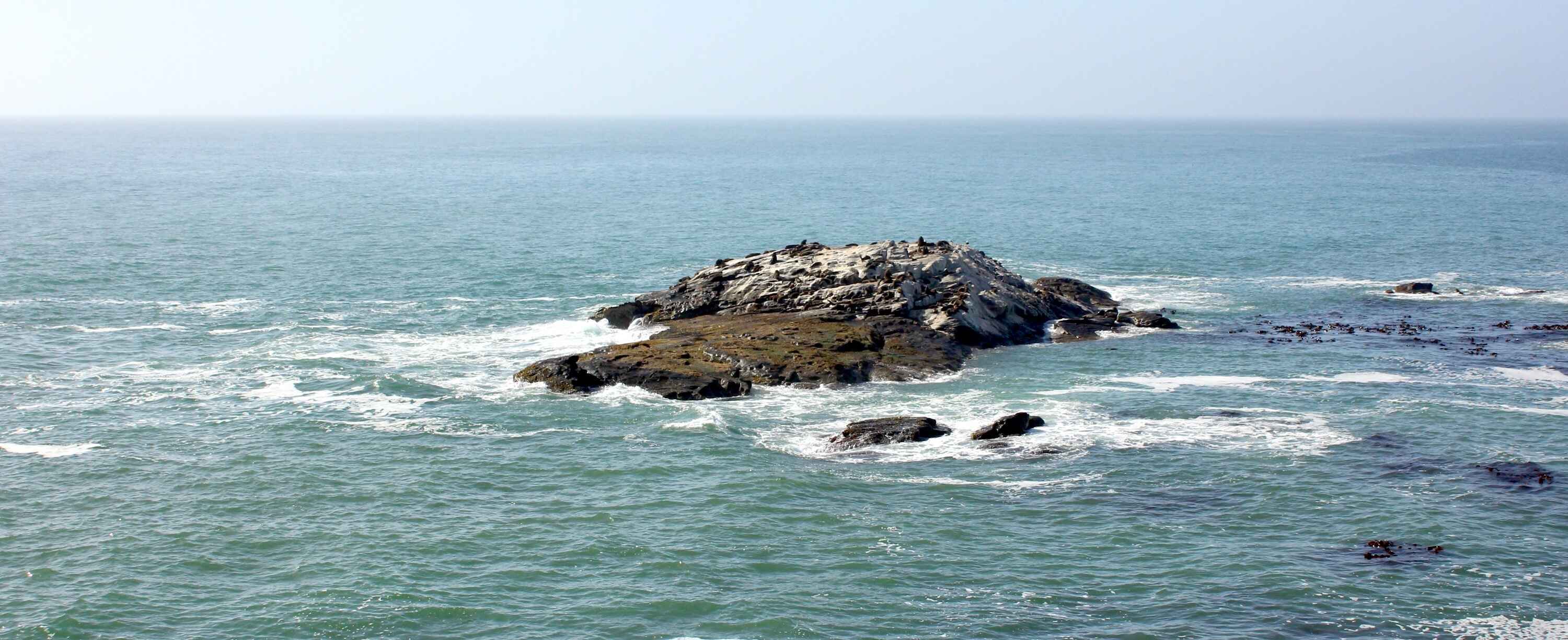 Seals basking on a rocky island in the ocean.