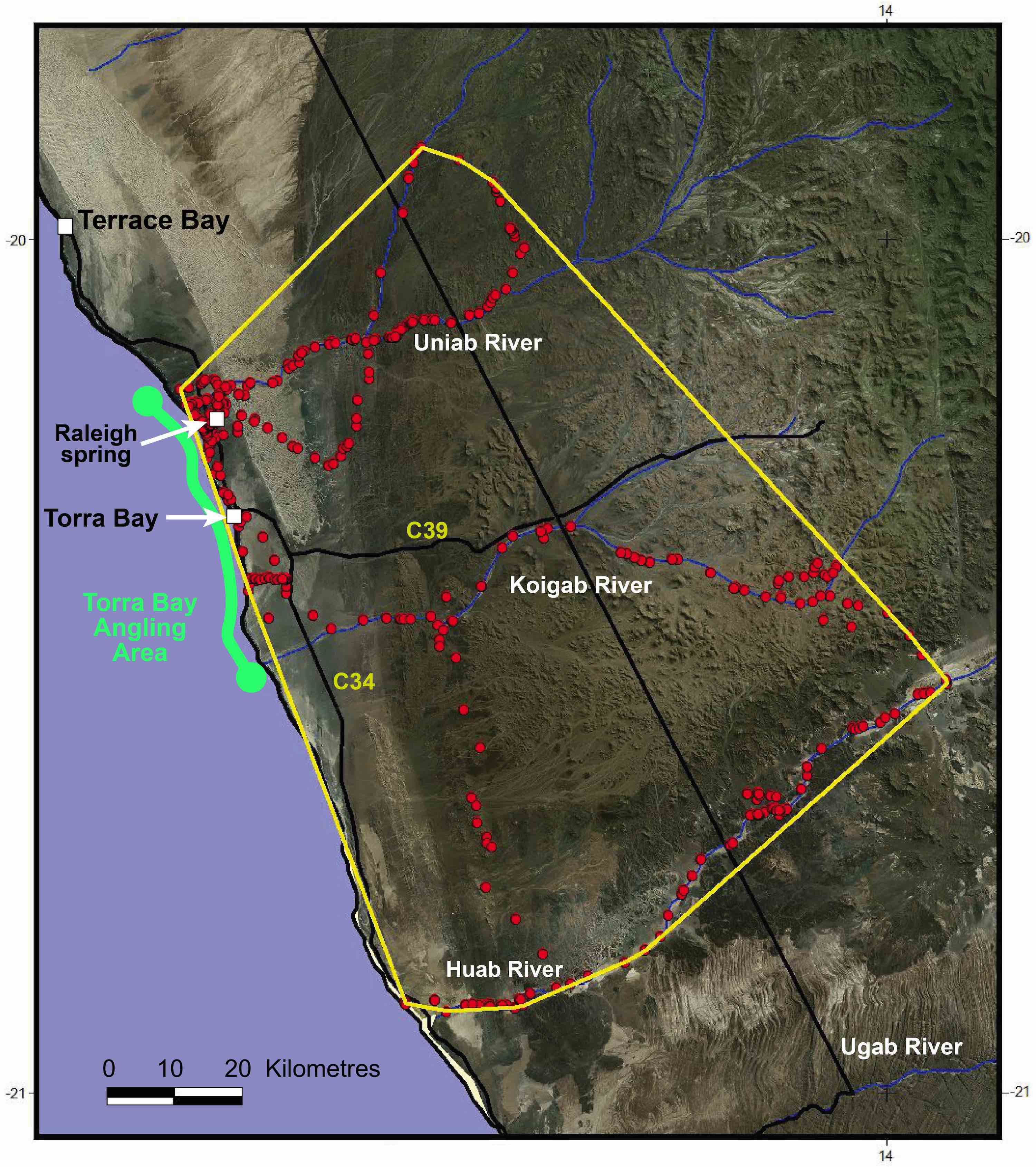 A map of the study area showing how the collared lioness moves through it.