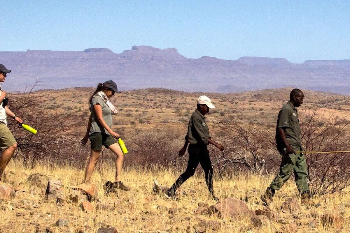 Tourists escorted by guides on a walking safari through //Huab Conservancy.