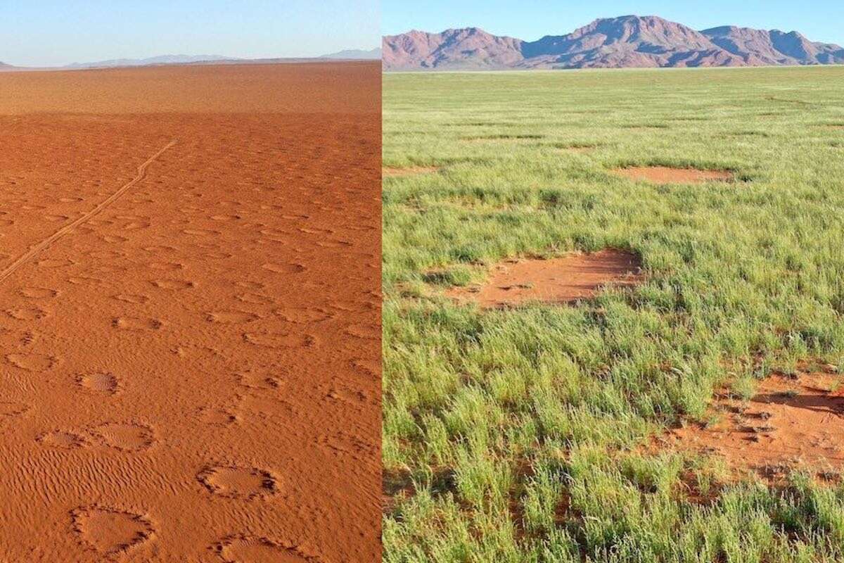 Two images of circular features on the ground.