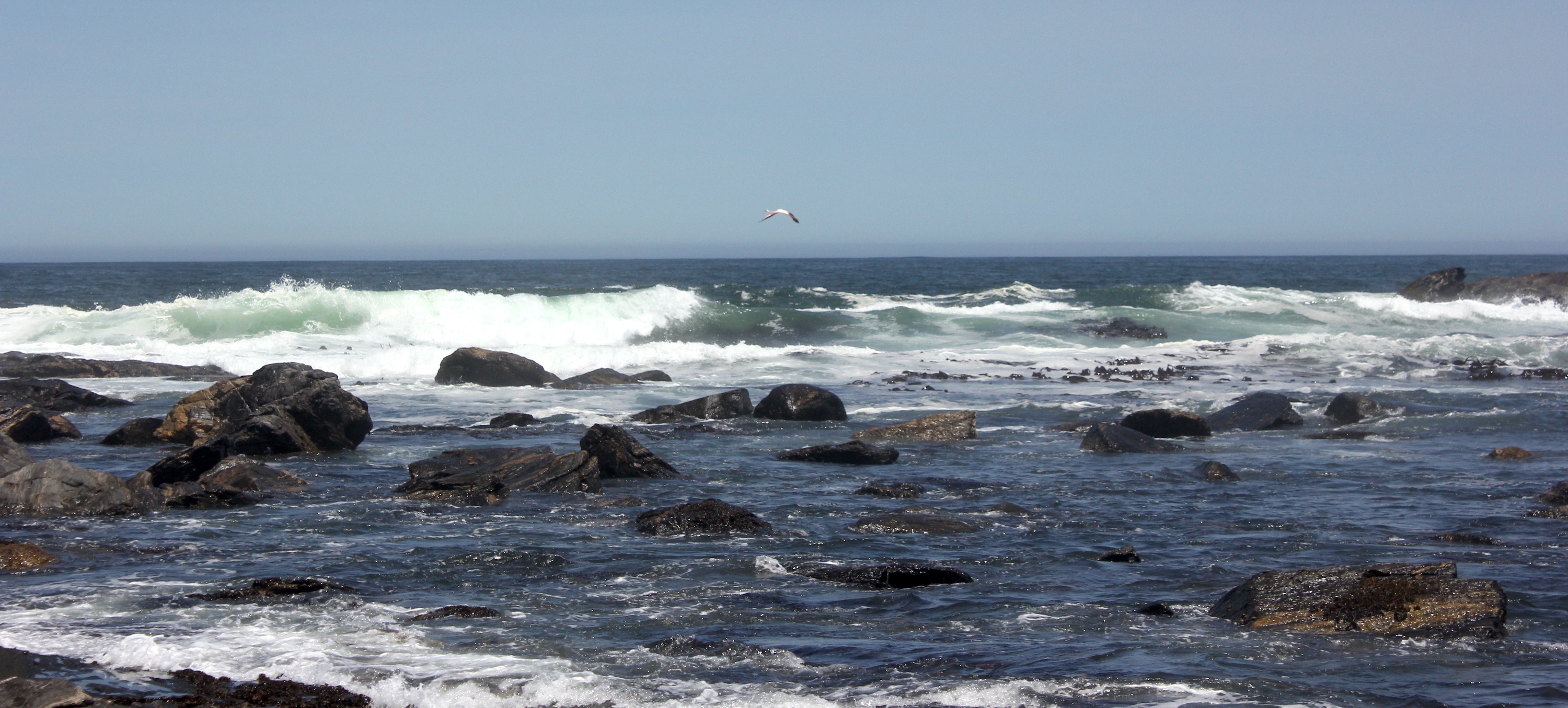 Photo of the Namibian coastline.