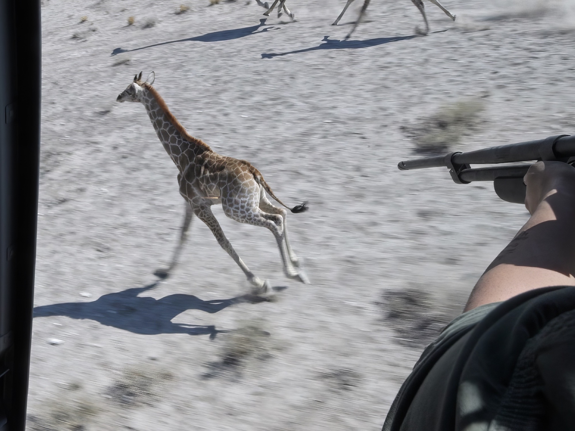 Two members of the OCN team and a seal.