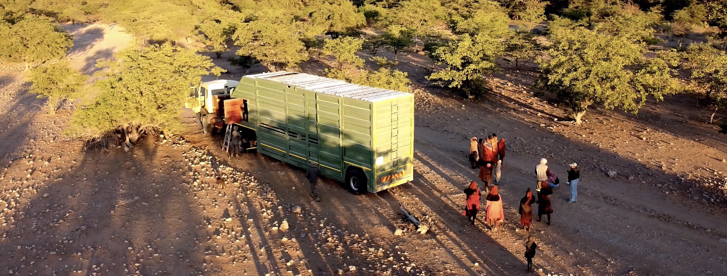 Members of the local communities cluster around the truck bringing their giraffe.