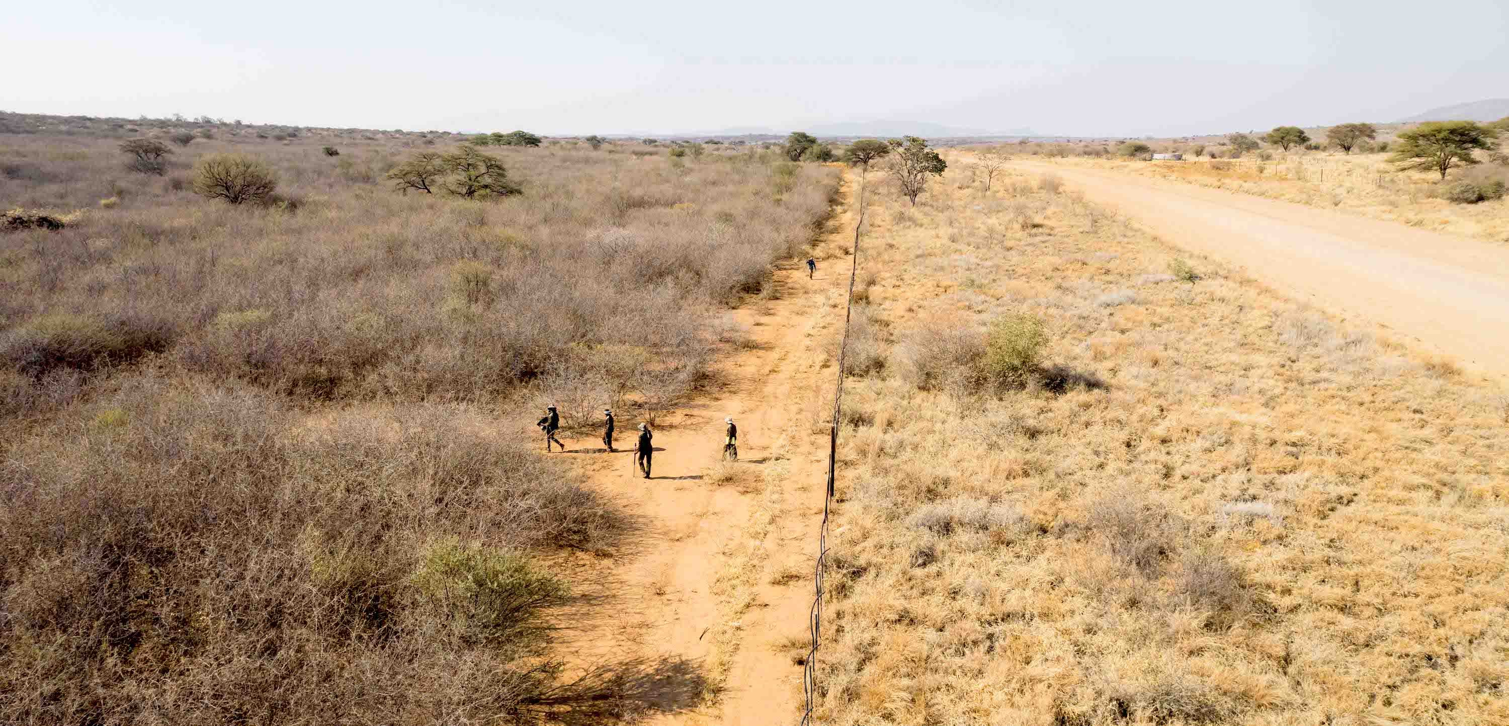 Drone footage showing the vast contrast between bush-encroached and non-encroached land.