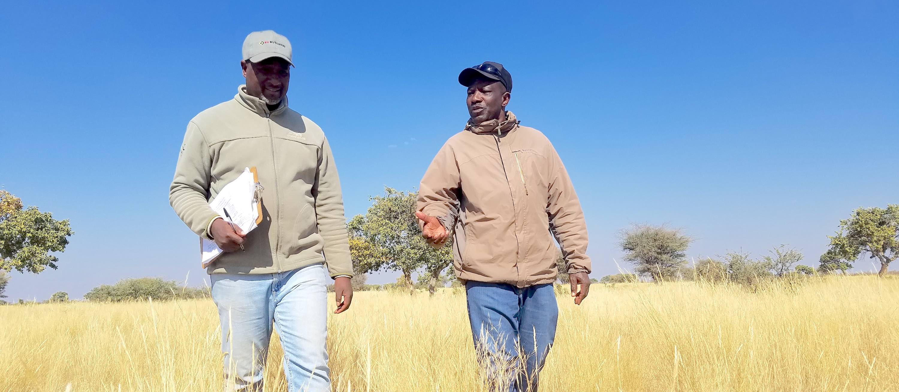 Two men walk through a field of dry yellow grass.