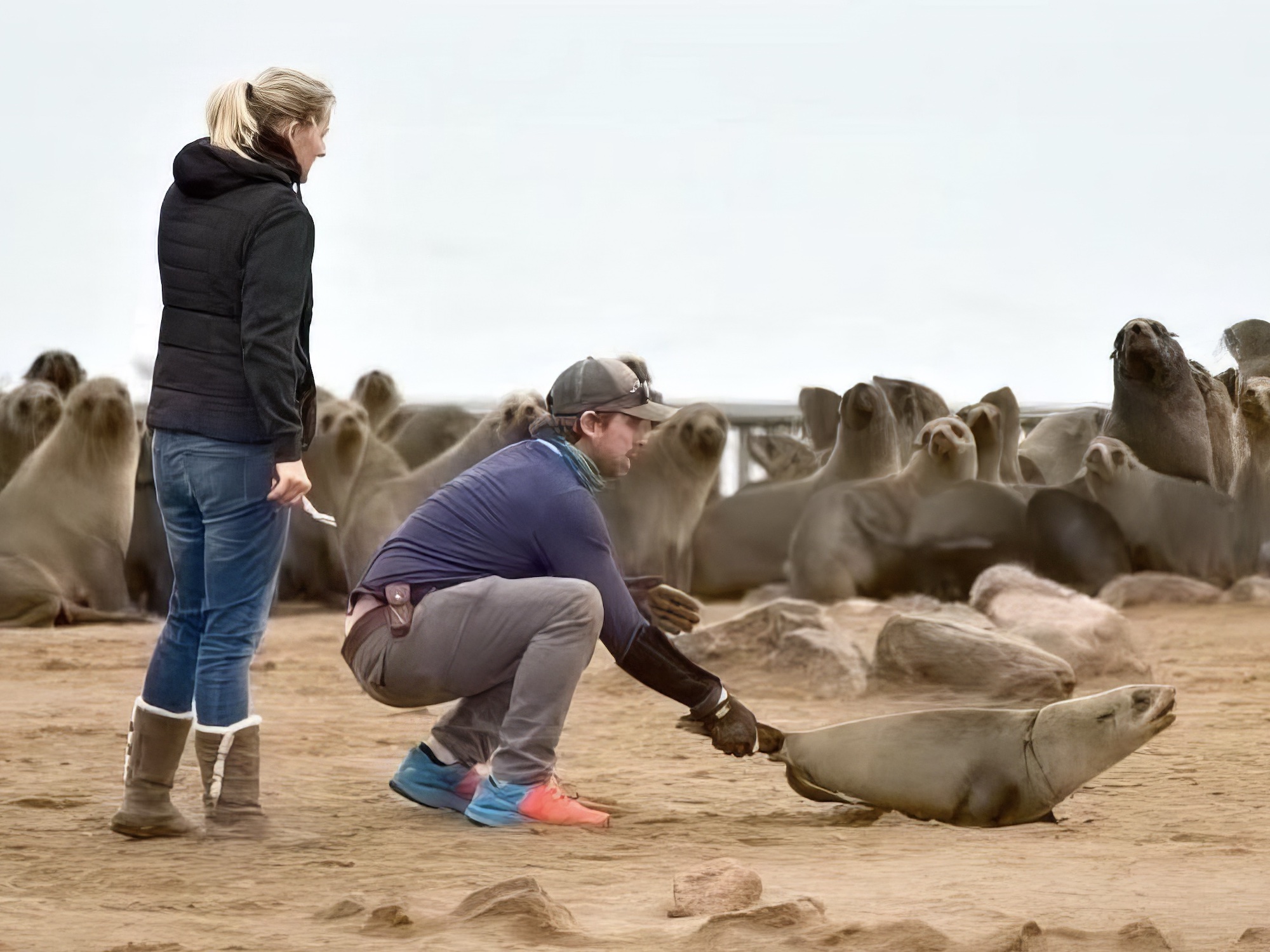 Two members of the OCN team and a seal.