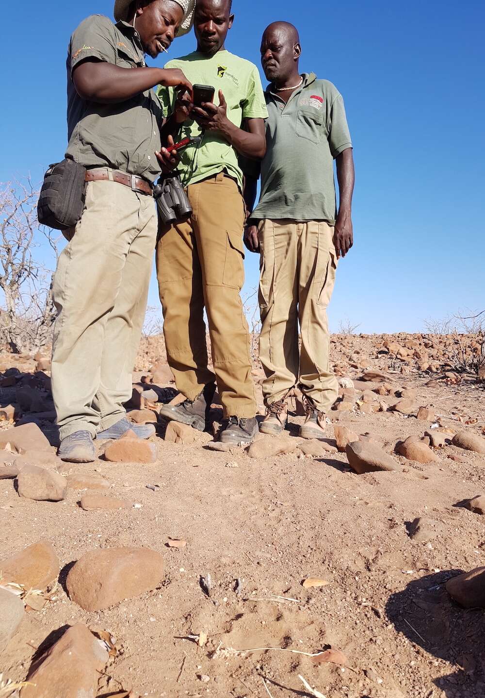 Three lion rangers entering data into the SMART app.