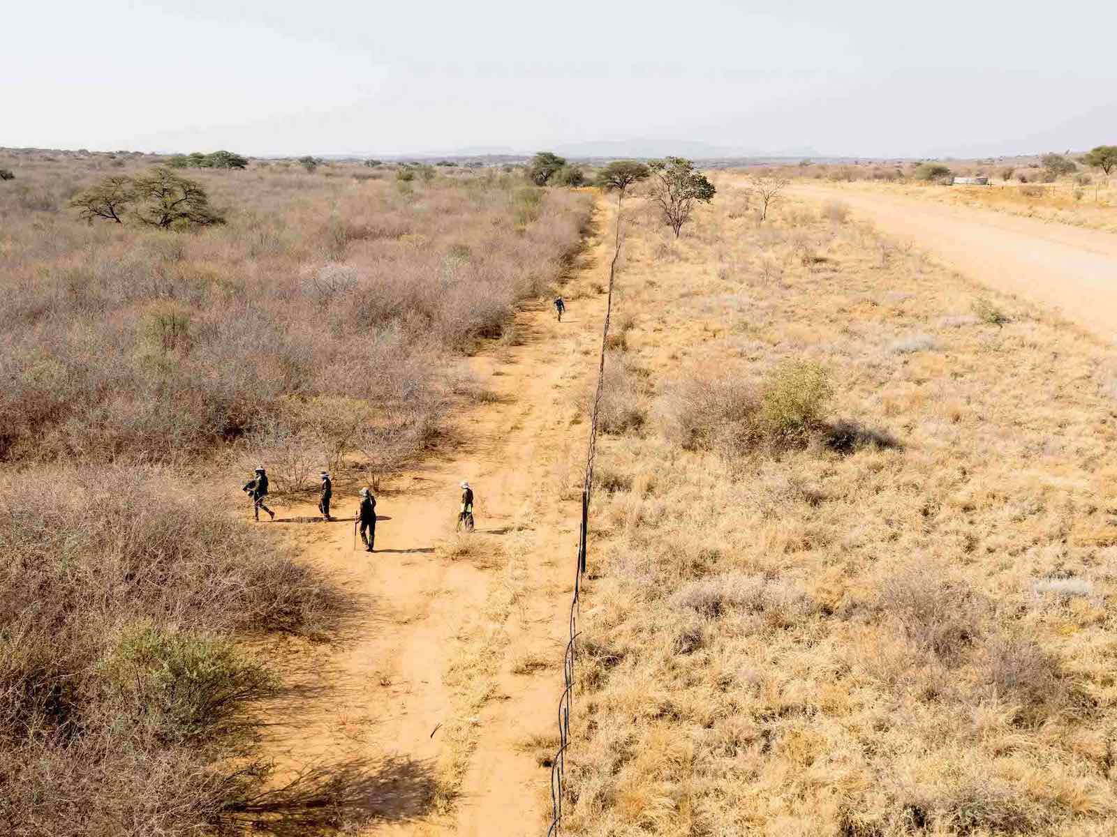 Drone footage showing the vast contrast between bush-encroached and non-encroached land.