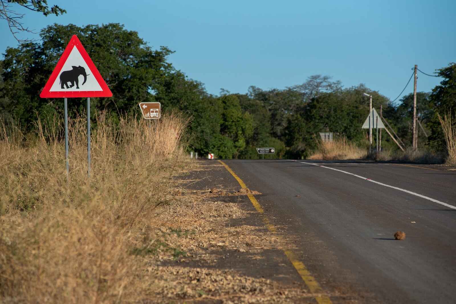 A red warning triangle sign depicting an elephant by the side of a quiet country road.