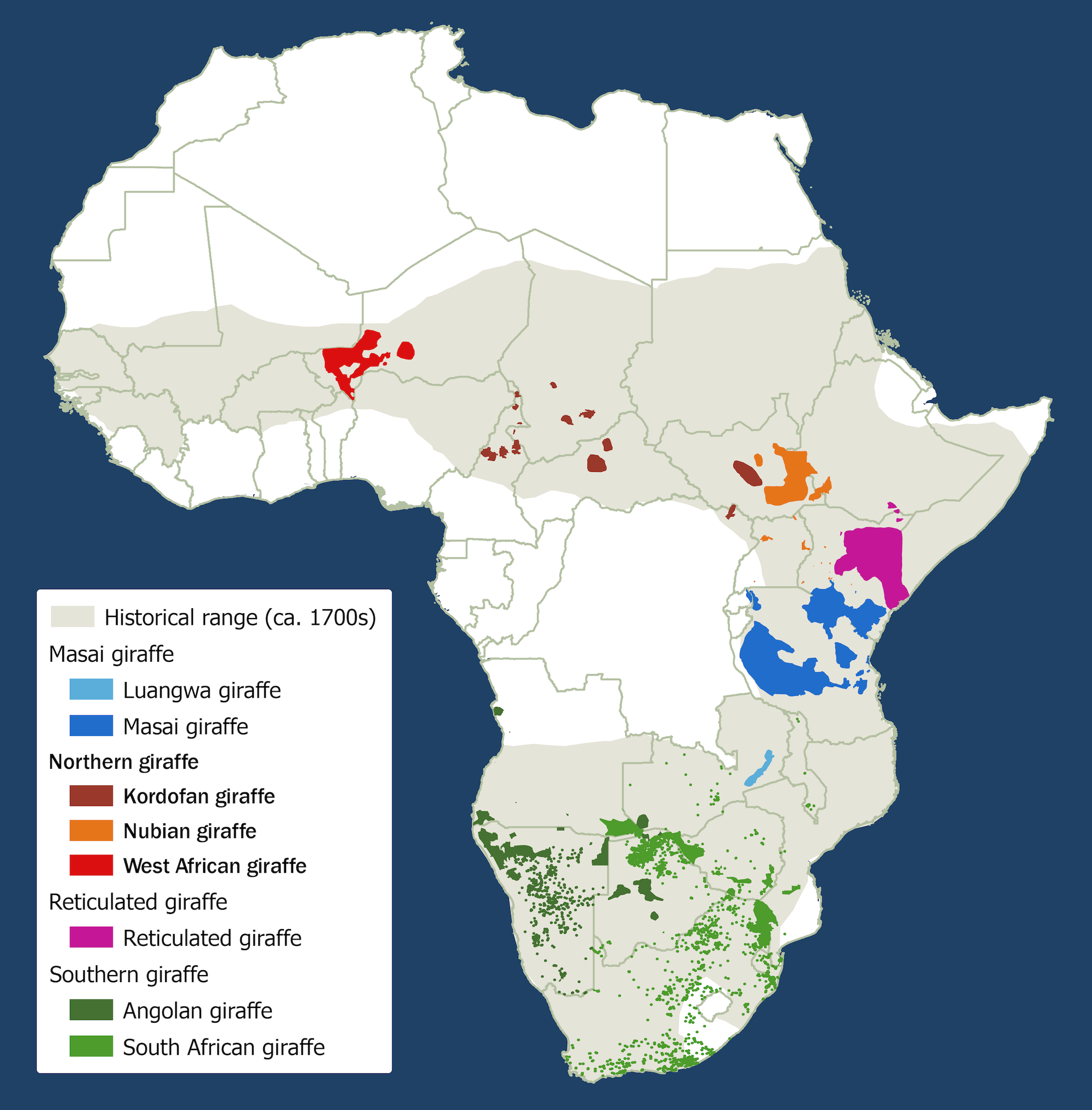 Map of Africa showing the distribution of the four giraffe species.