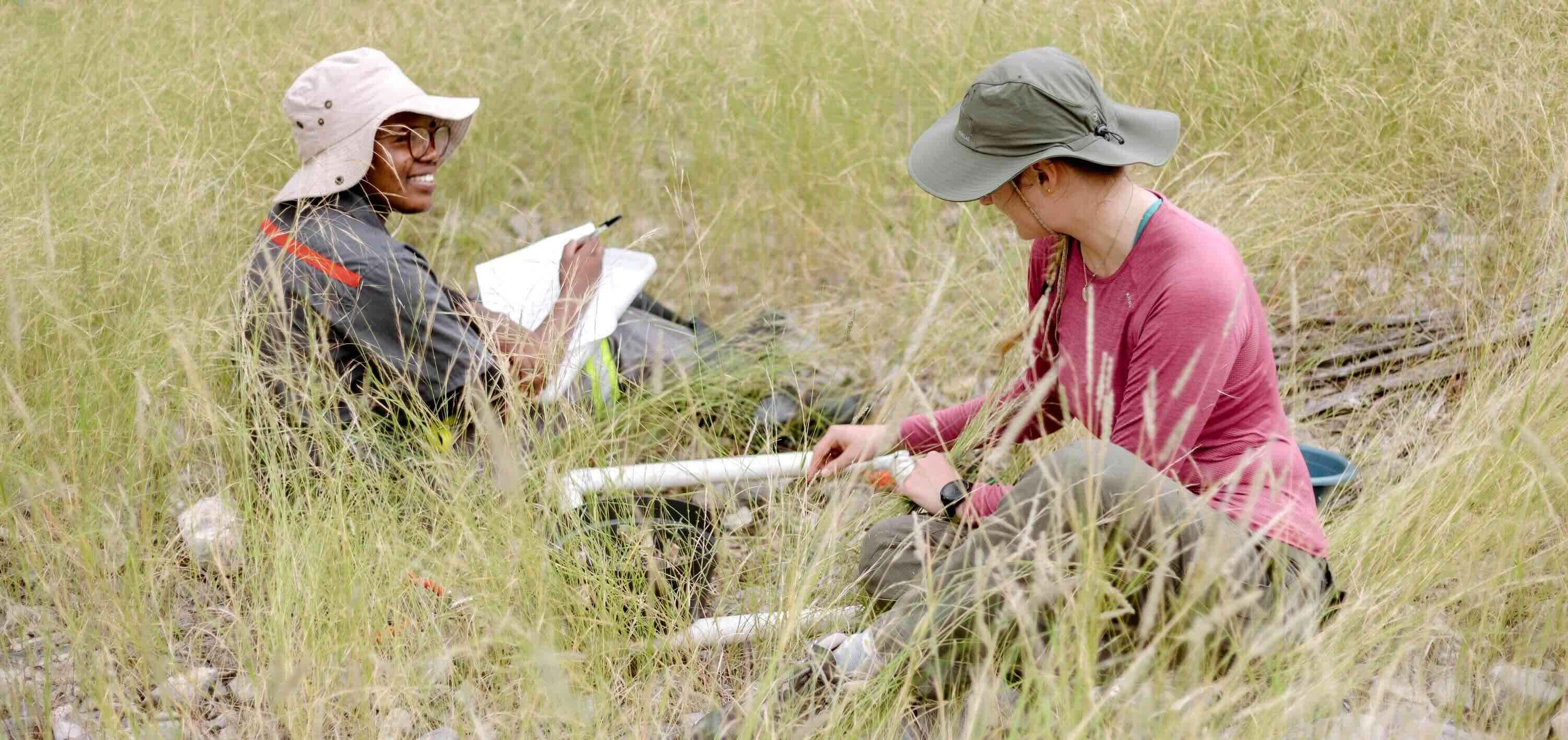 Two people sitting in thick grass and recording data..