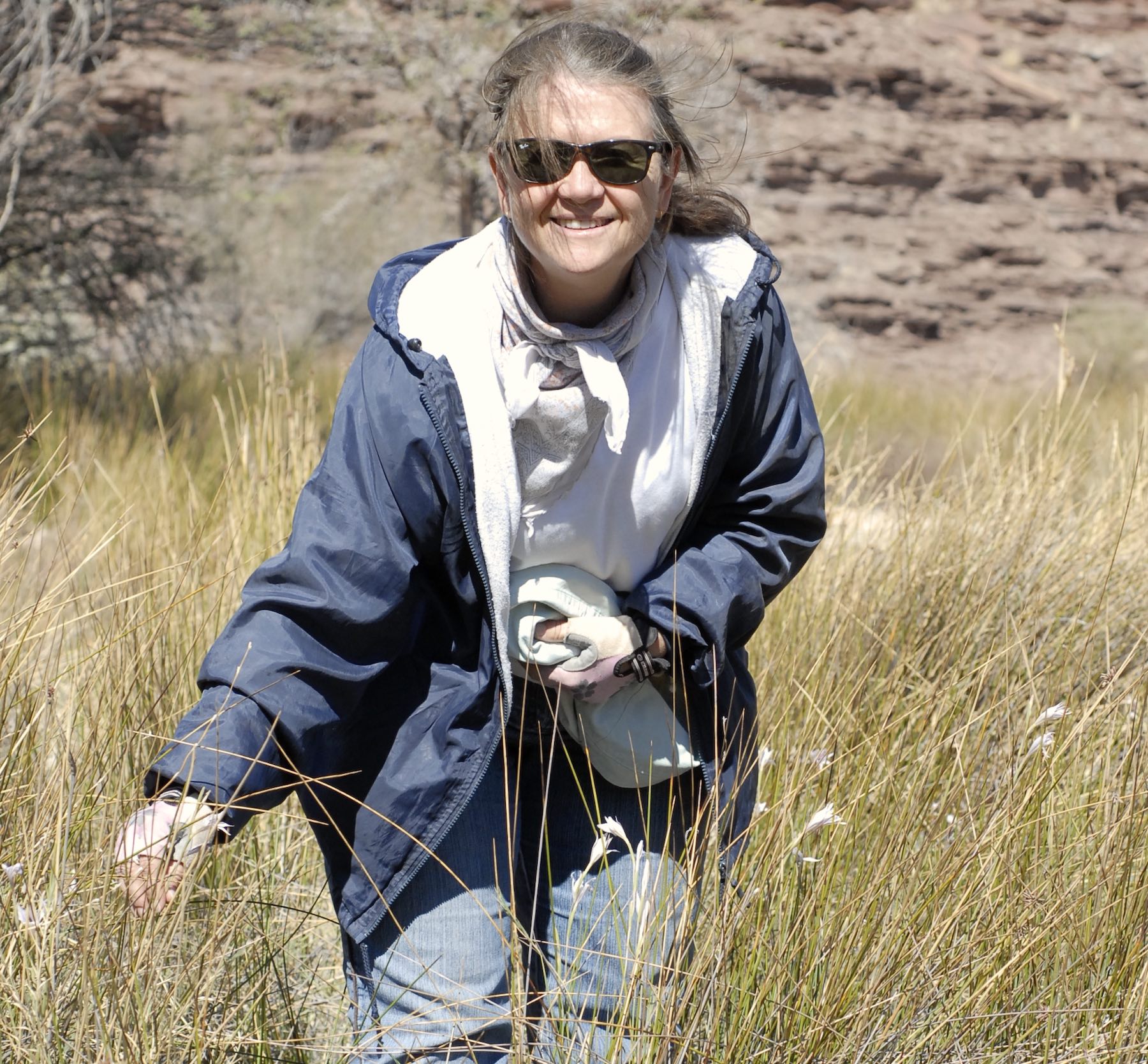 A diagram showing the territories of male pangolins.