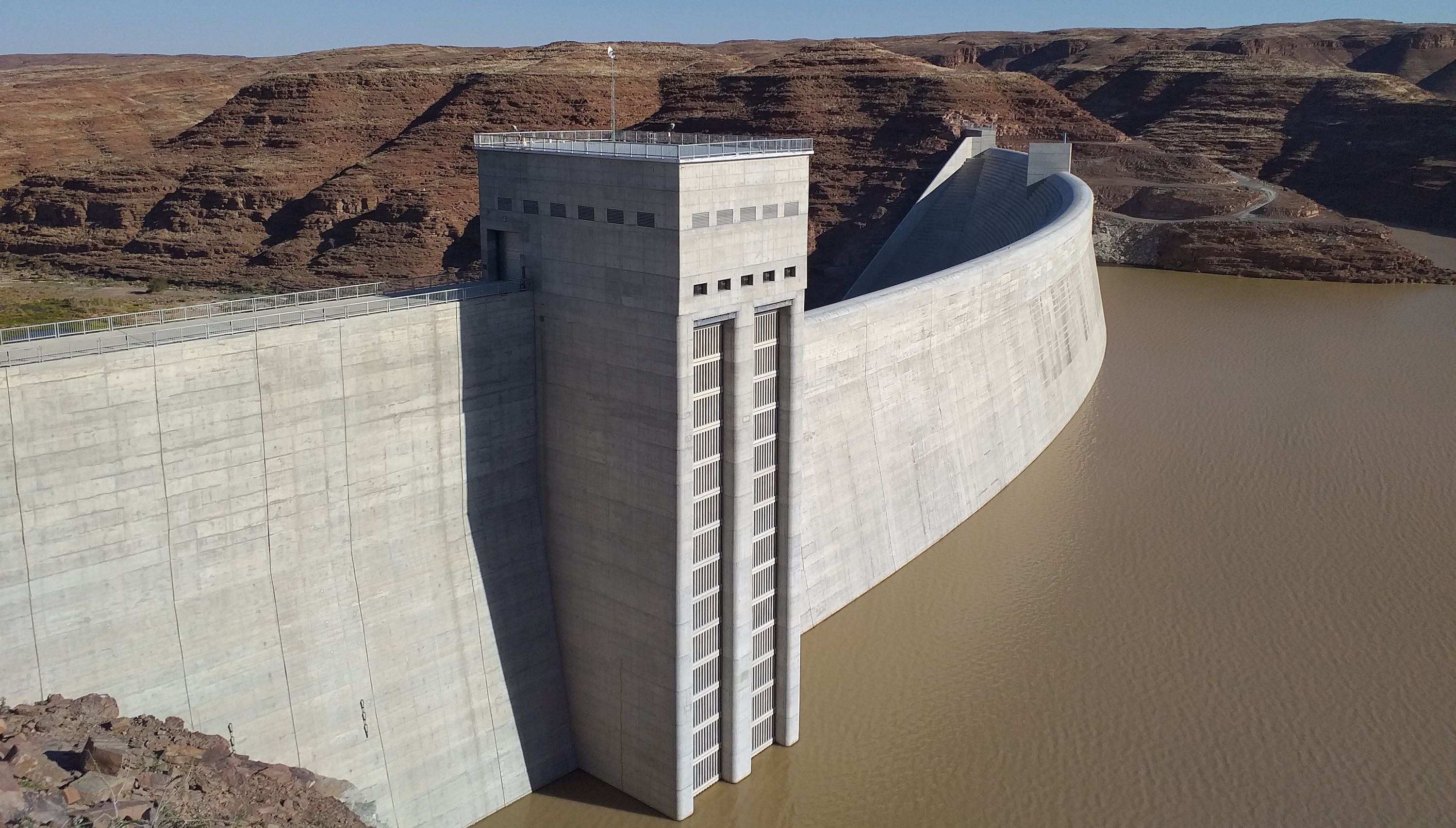 A pangolin being fitted with tracking devices.