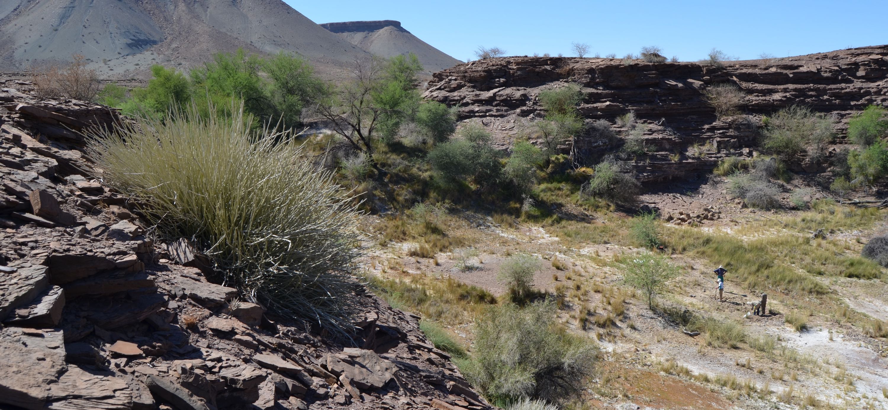 Four men digging with assorted tools.