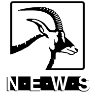 NEWS logo