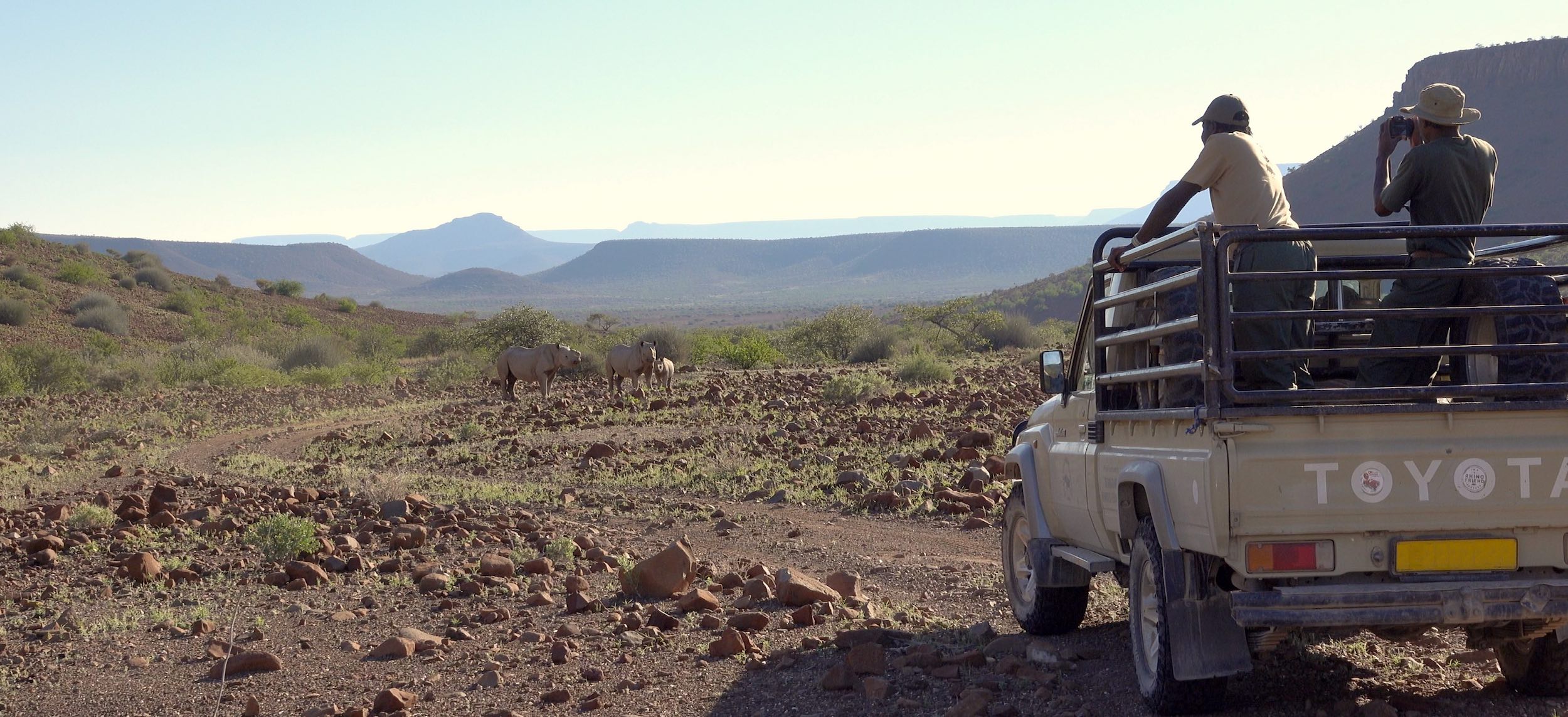 A pair of rhino rangers watch a family of black rhinos from the back of a Toyota bakkie