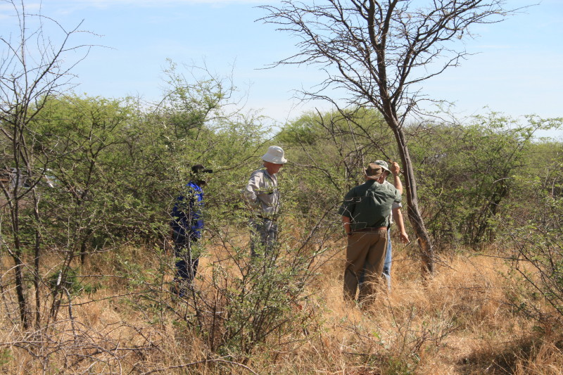 People in thick bush