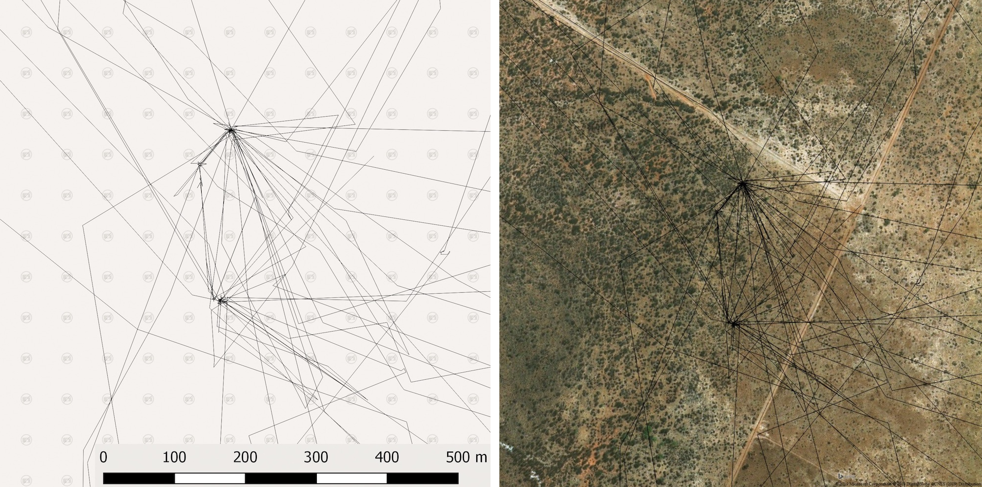 Cheetah satellite track
