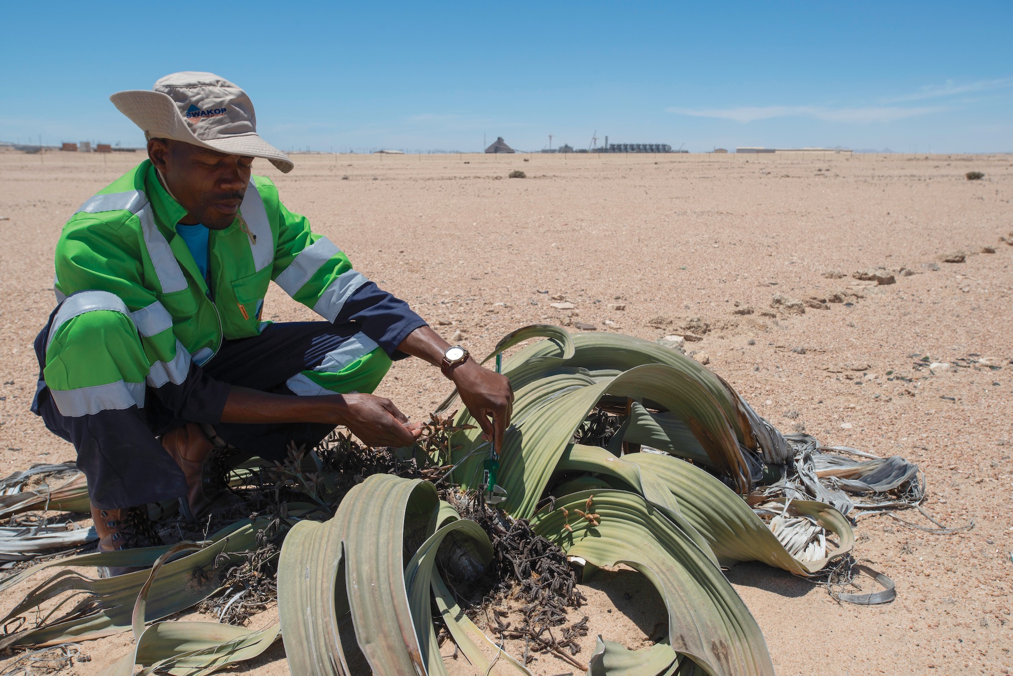An environmental scientist