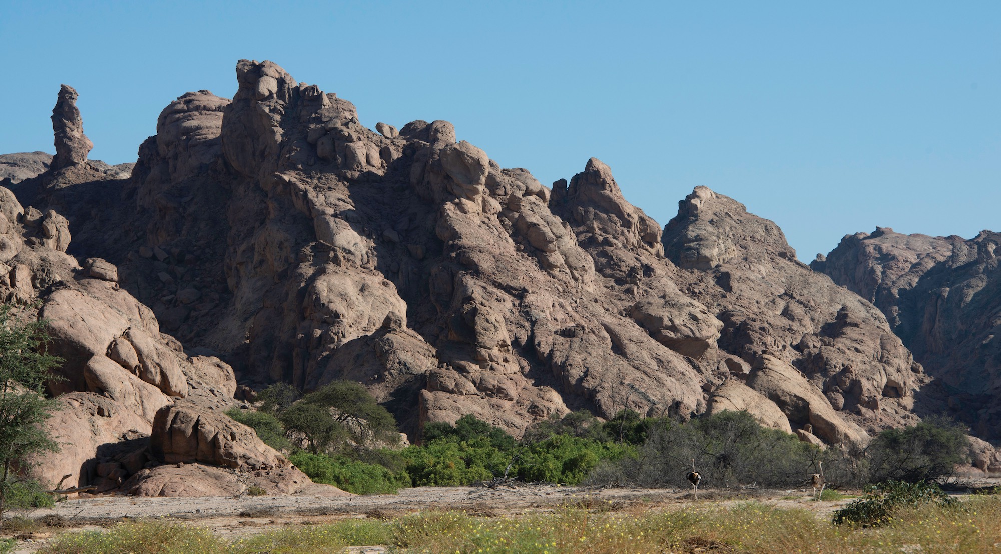 Beautiful environment at Husab