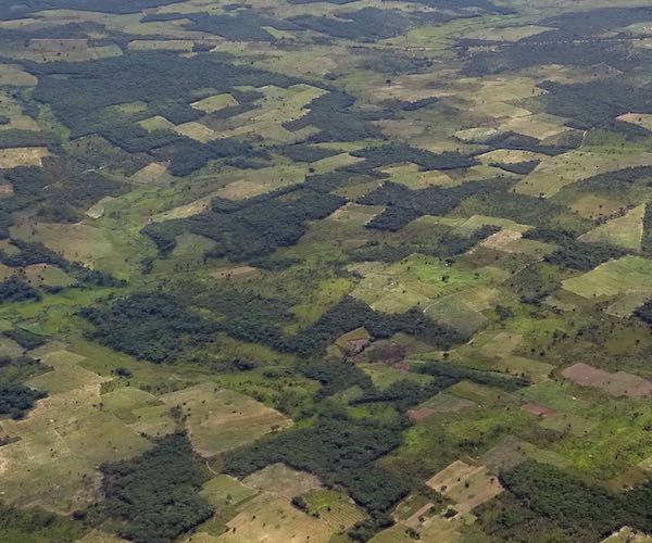 An aerial view of African communal farmlands