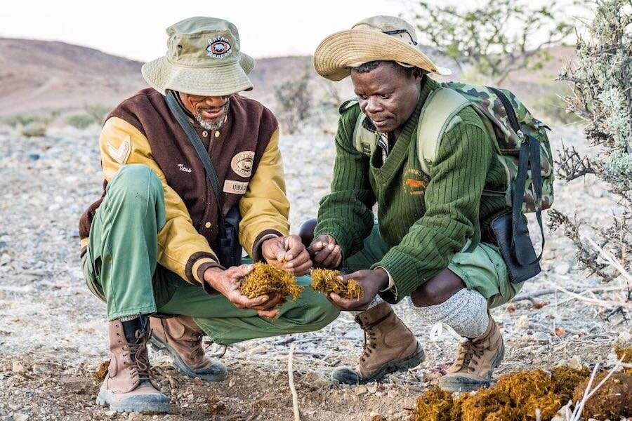 Two rangers on patrol