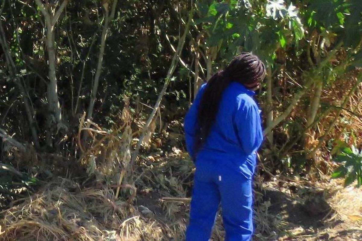 A woman in blue overalls looks intently at a dense thicket of vegetation.