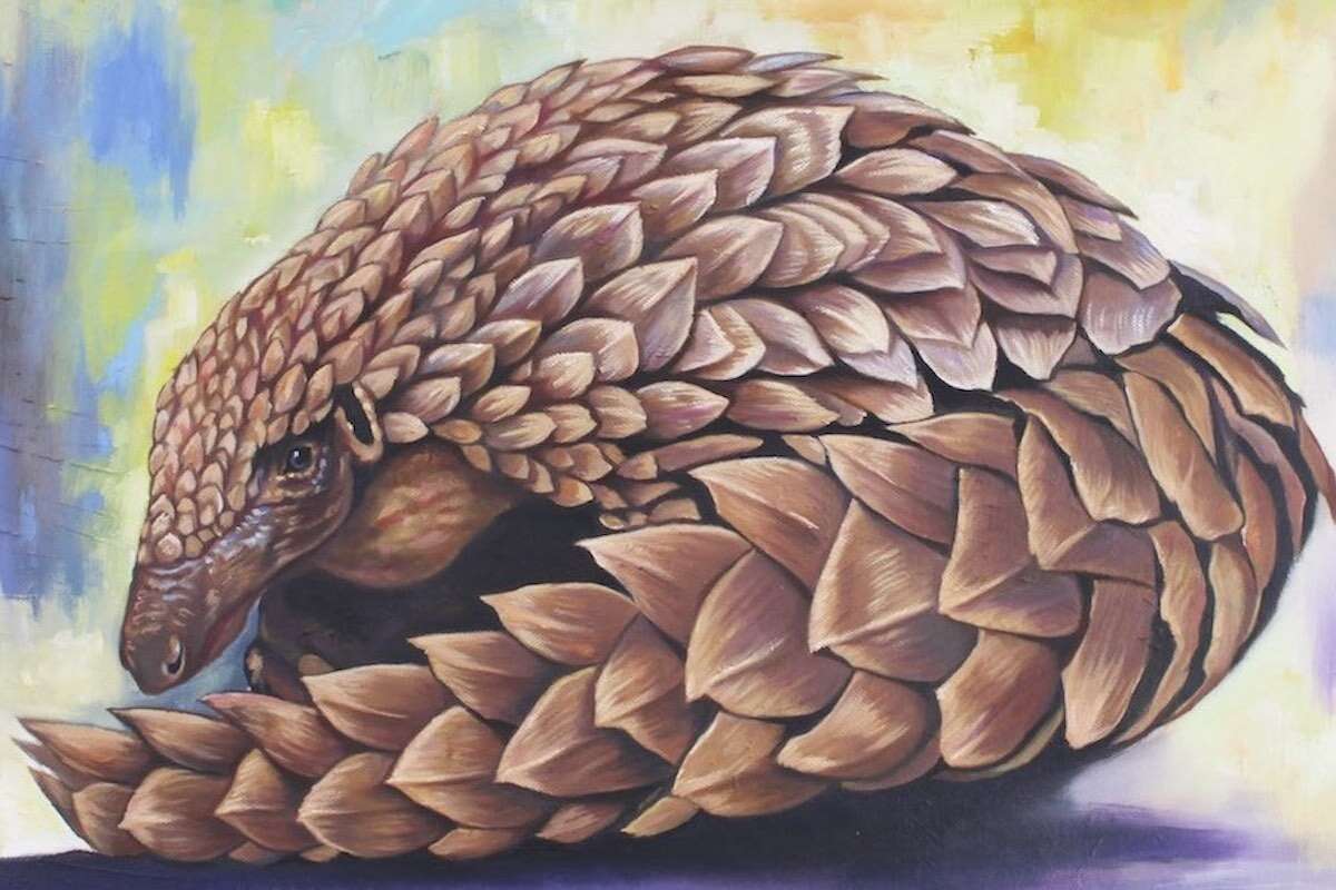 Artwork of a resting pangolin.