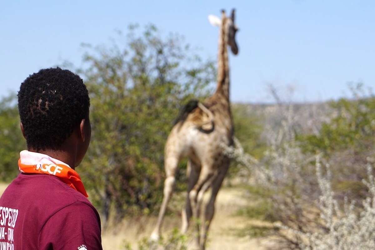 A young vet watches as a giraffe runs into the distance.