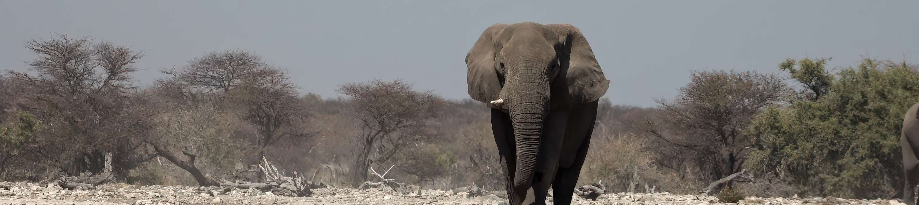 A still frame from the featured video.